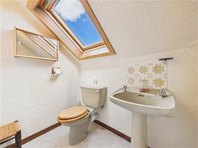 Picture 19